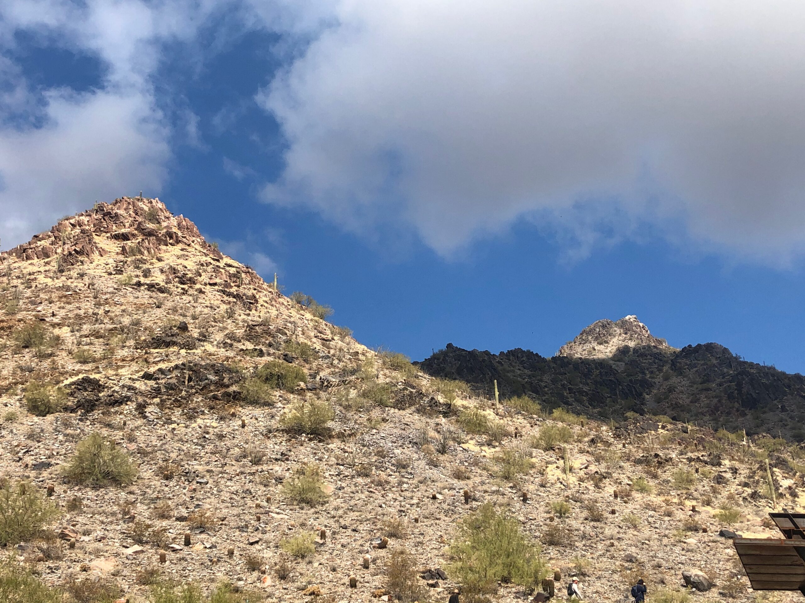IMG_0668 Hike Jan 2021